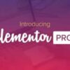 Elementor-PRO