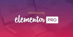 Elementor-PRO